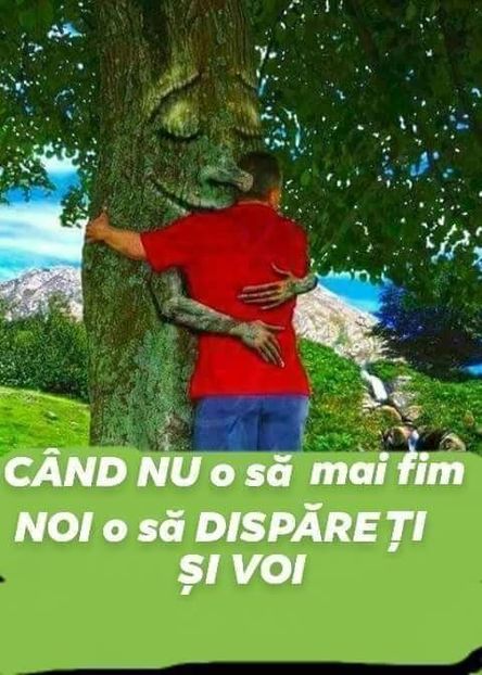  - Divertisment 2