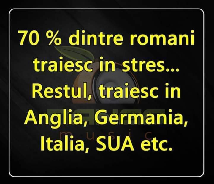  - Divertisment 2