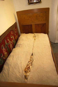  - Simboluri