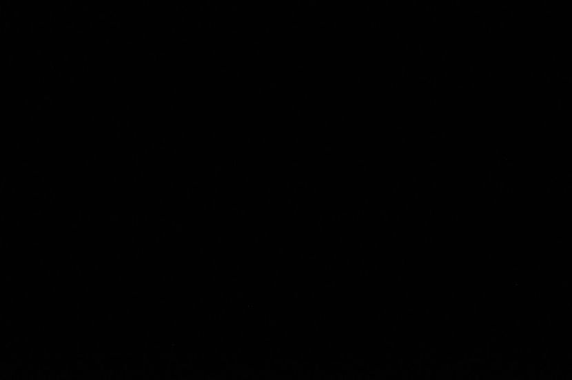 _DSC0019 - prieten adevarat