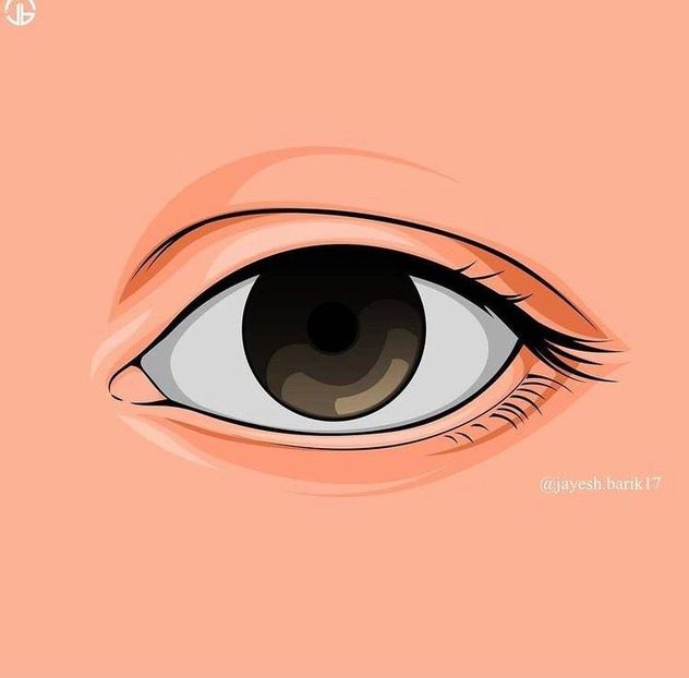  - 001a vector art tutorial