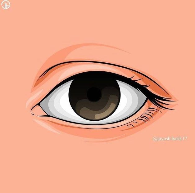  - 001a vector art tutorial