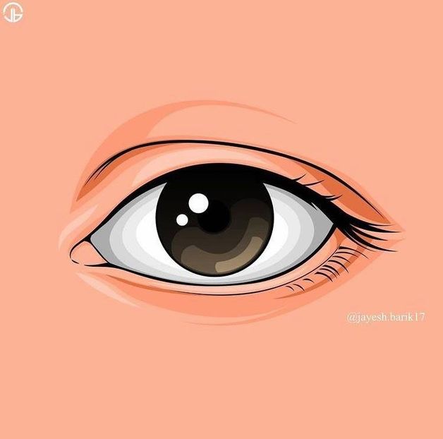  - 001a vector art tutorial