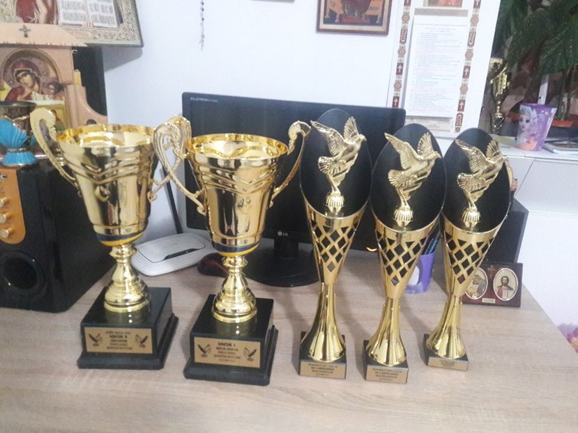  - Rezultate 2020 UCPR