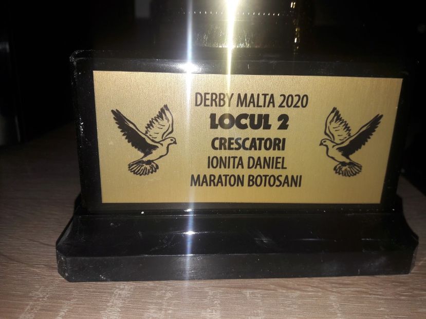  - Rezultate 2020 UCPR