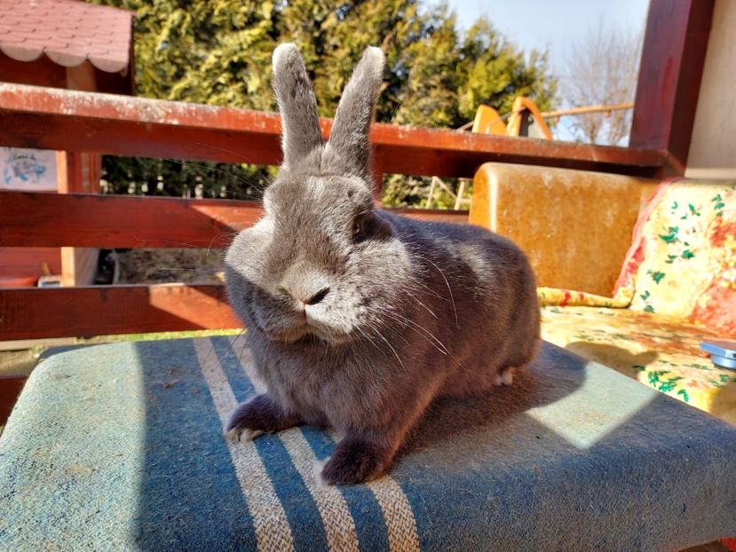 2B87631E-1DB7-4C30-A300-D077FA23B012 - New generation 2020