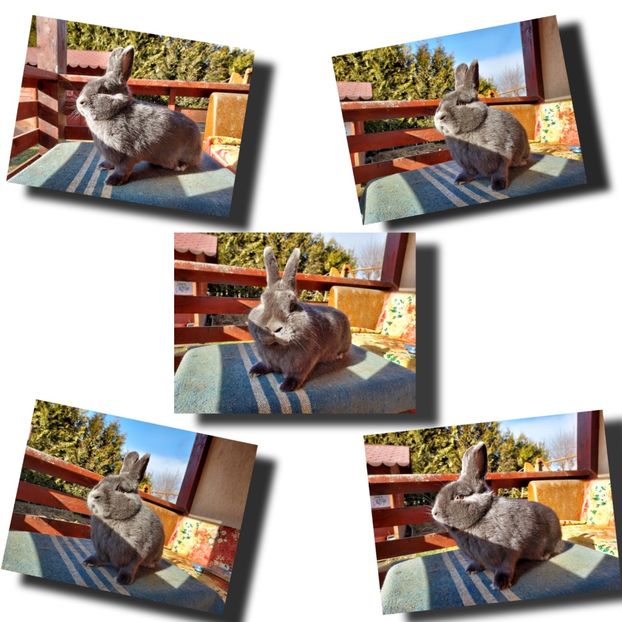 C8738E1A-B125-4C36-A533-3AEC44F7385A - New generation 2020