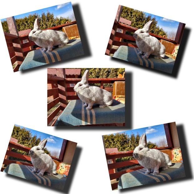 5809567C-4E5E-4AD6-A869-6B804E670572 - New generation 2020