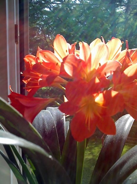 07-03-08_1710 - dragostea  de natura