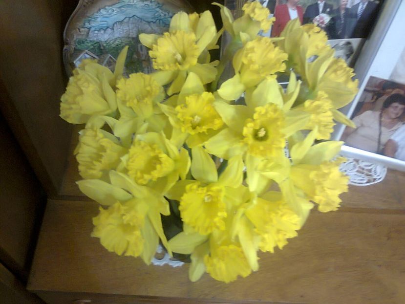 Fotografie5915 - 2021 Valentin day Dragobete 1 Martie