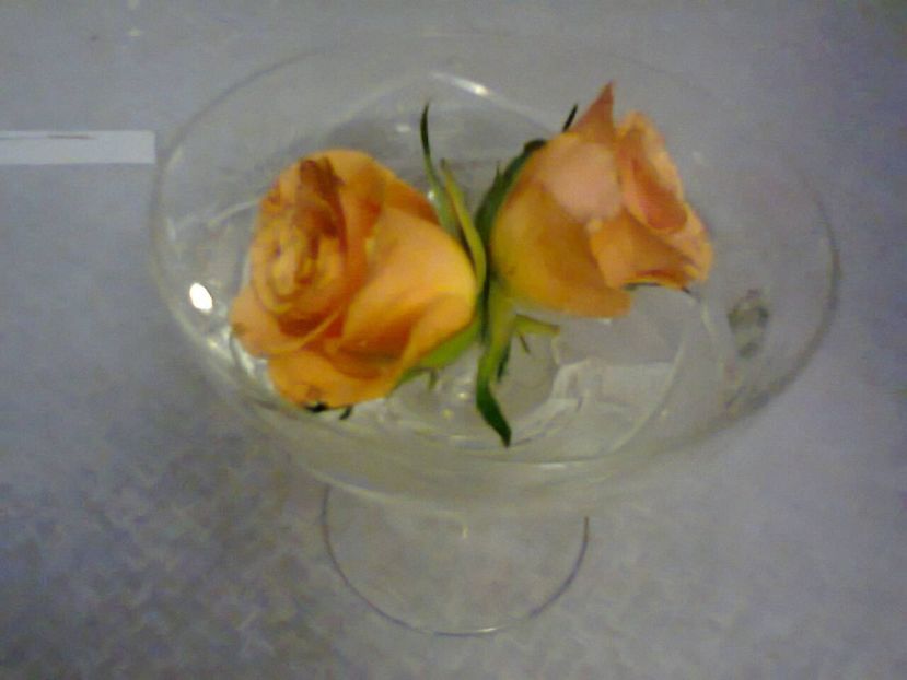 Fotografie5926 - 2021 Valentin day Dragobete 1 Martie