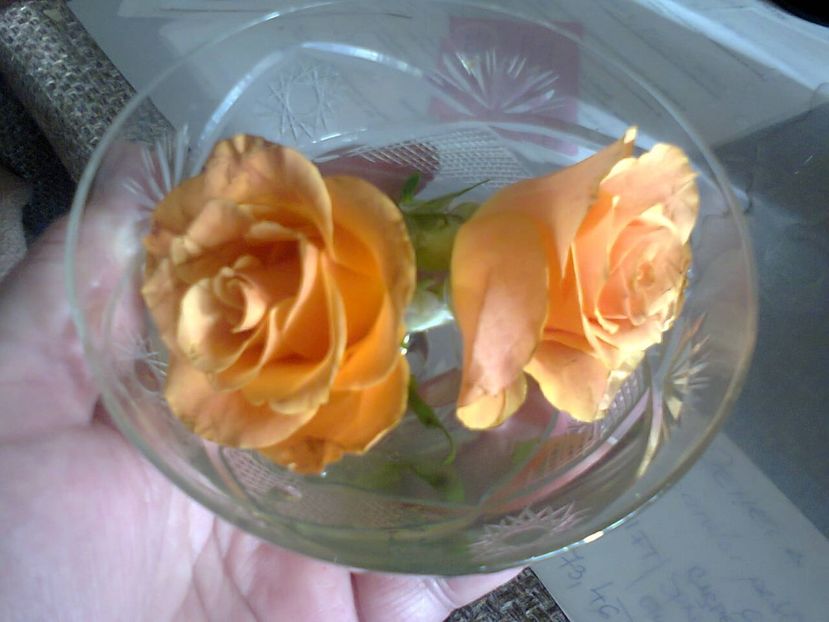 Fotografie5938 - 2021 Valentin day Dragobete 1 Martie