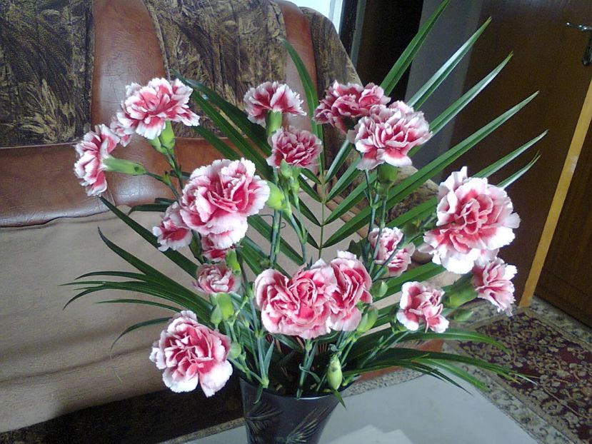 Fotografie5957 - 2021 Valentin day Dragobete 1 Martie