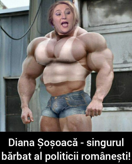  - Bancuri cu Moldoveni