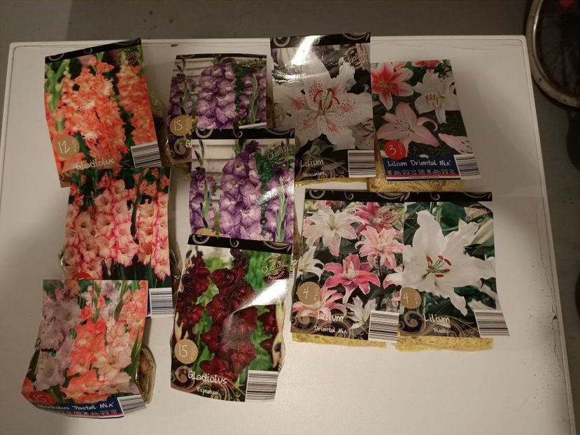 1.03.2021 - 1 Achiziție nouă