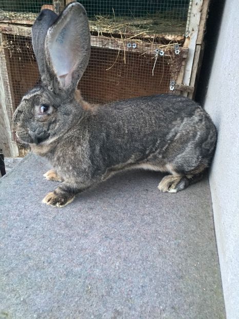 9F1800AE-1628-4227-B6B0-1D827B546D5A - RO 8-3055