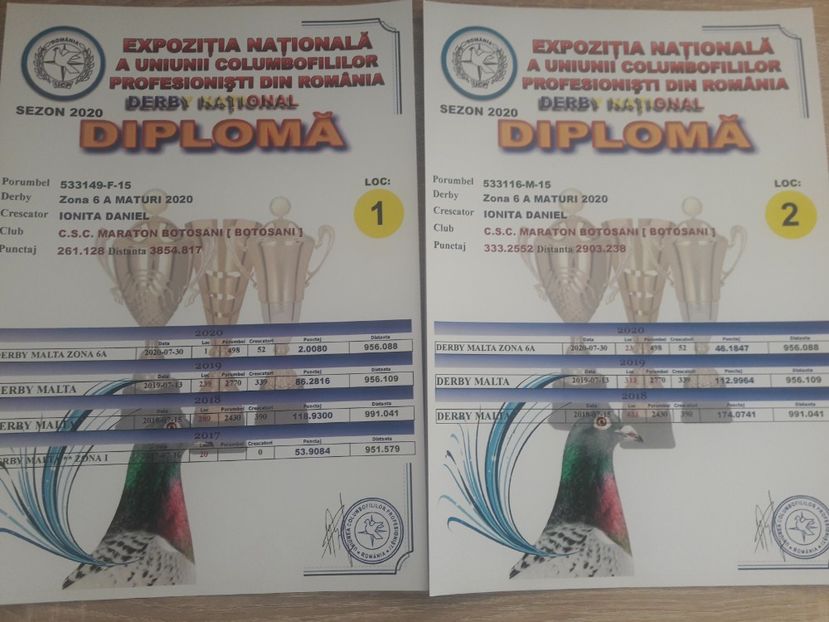  - Rezultate 2020 UCPR