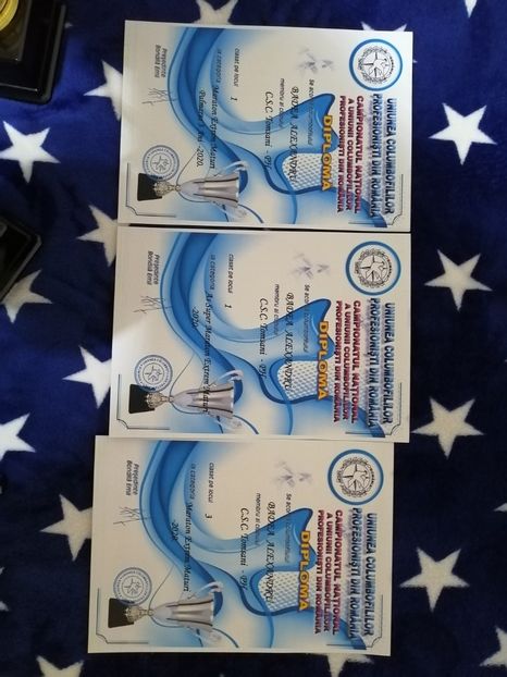  - BADEA ALEXANDRU-TROFEE