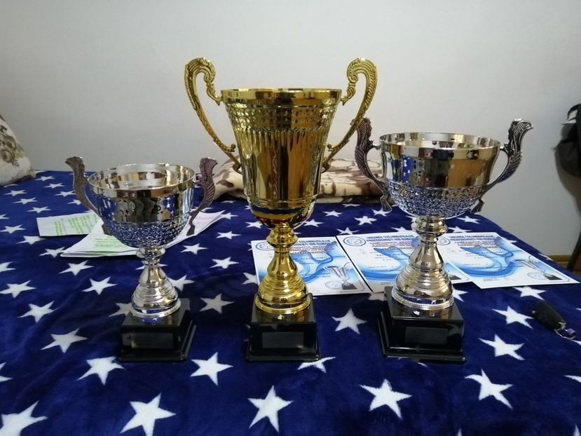  - BADEA ALEXANDRU-TROFEE