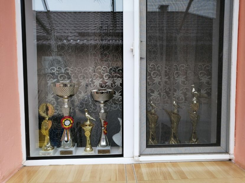  - BADEA ALEXANDRU-TROFEE