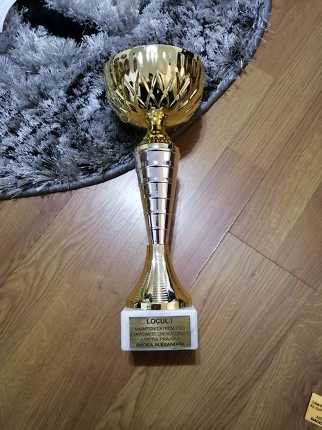  - BADEA ALEXANDRU-TROFEE