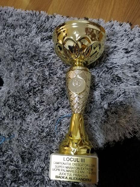  - BADEA ALEXANDRU-TROFEE