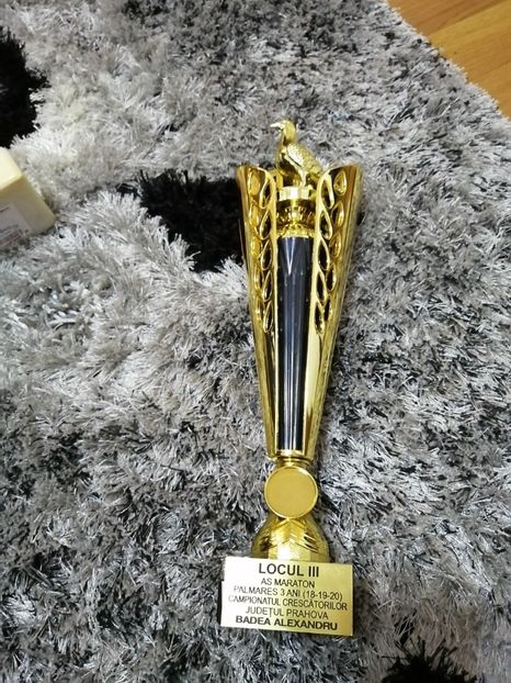  - BADEA ALEXANDRU-TROFEE
