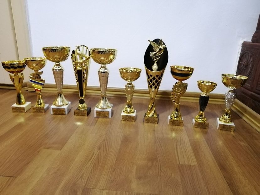  - BADEA ALEXANDRU-TROFEE