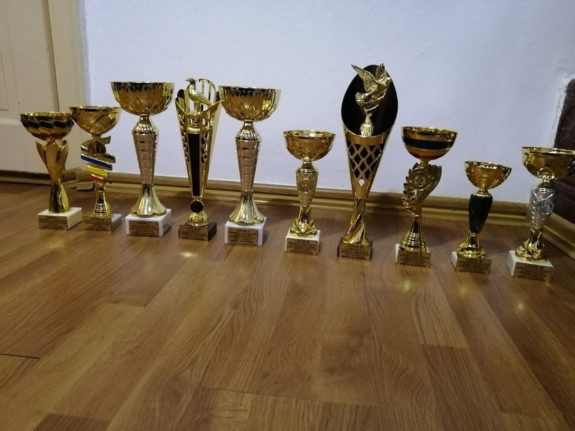  - BADEA ALEXANDRU-TROFEE