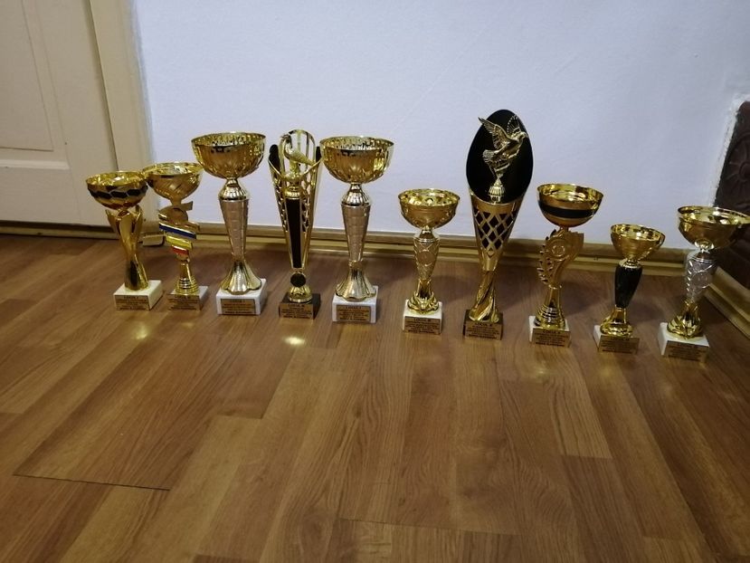  - BADEA ALEXANDRU-TROFEE