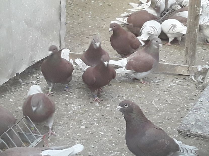 20210303_161950 (1) - CONTACT