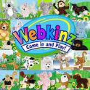  - Webkinz