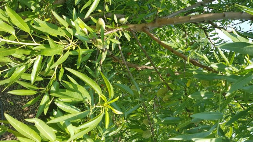 Migdal 20190617_142019 - Migdal xxxxx