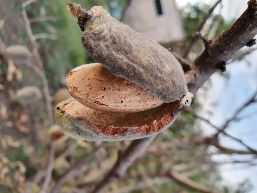 Migdal 20190910_192711 - Migdal xxxxx