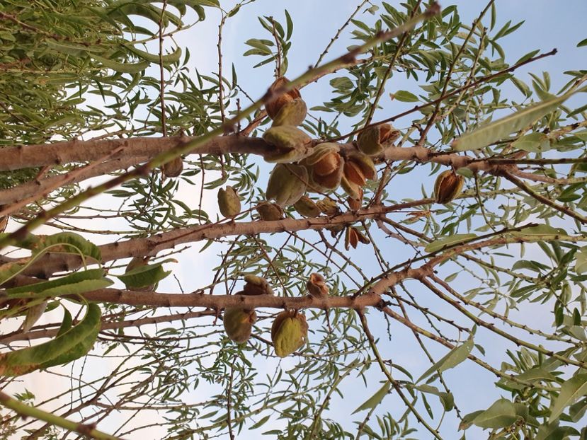 Migdal 20190910_193135 - Migdal xxxxx