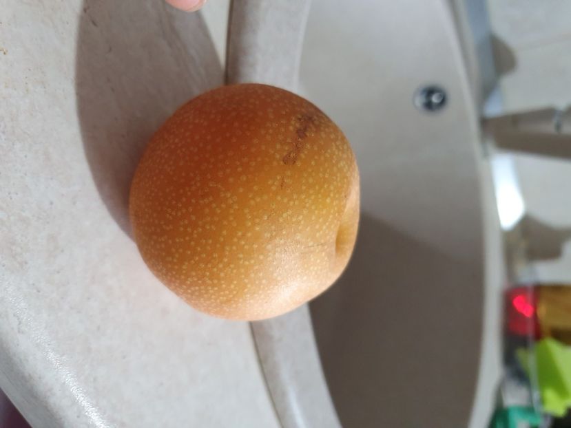 Honsui 20190908_184013 - Par japonez - Honsui