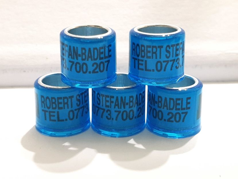  - 1-A-INELE PERSONALIZATE 2021
