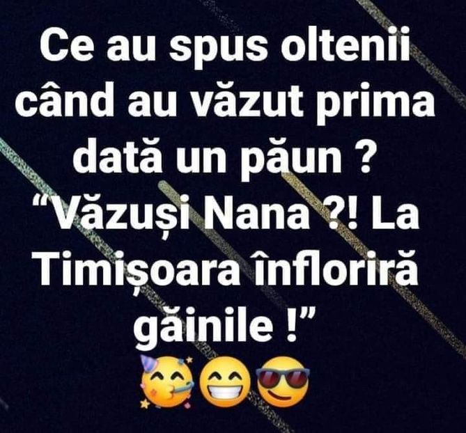 IMG-20210303-WA0001 - Divertisment 2