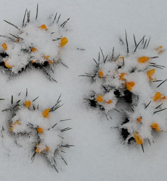  - Un nou inceput 2021