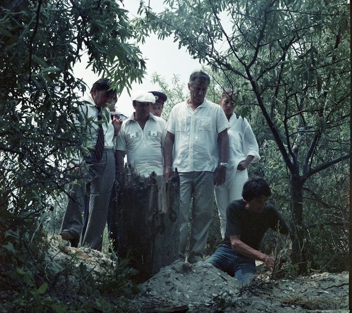 Faleze De Nisip - Faleze De Nisip 1983