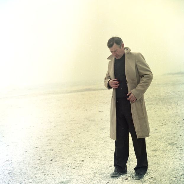 Faleze De Nisip - Faleze De Nisip 1983