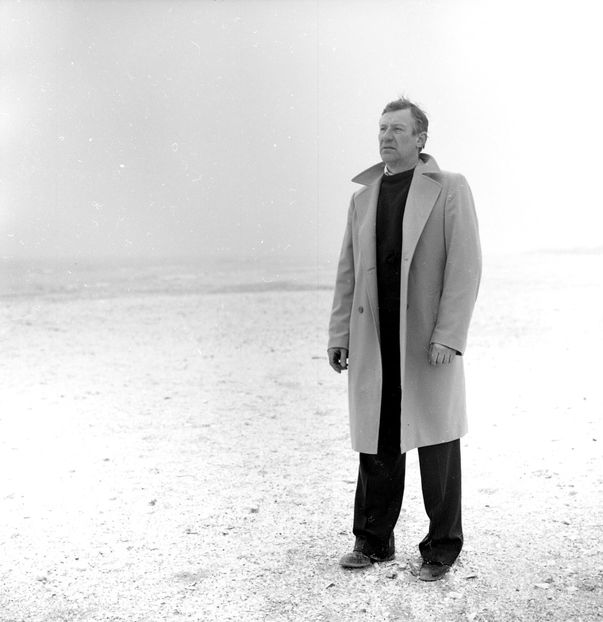 Faleze De Nisip - Faleze De Nisip 1983