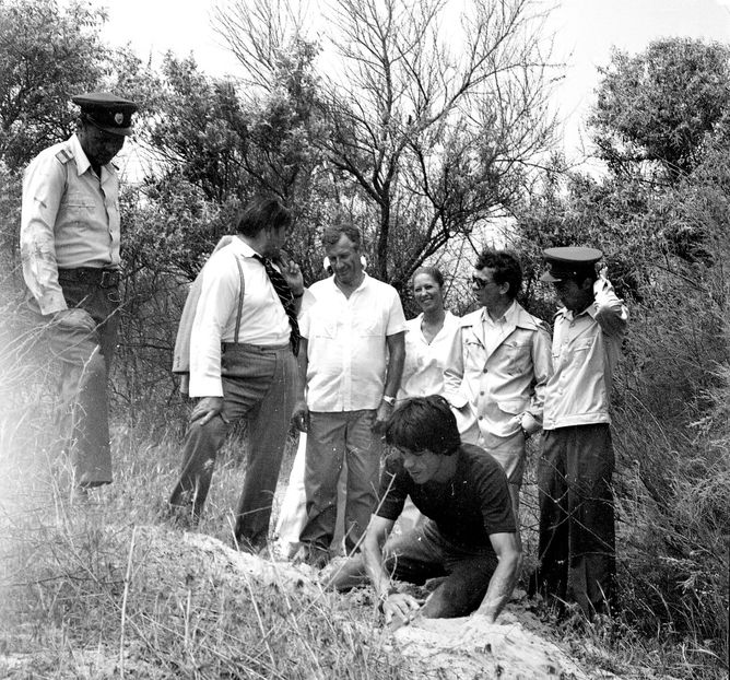 Faleze De Nisip - Faleze De Nisip 1983