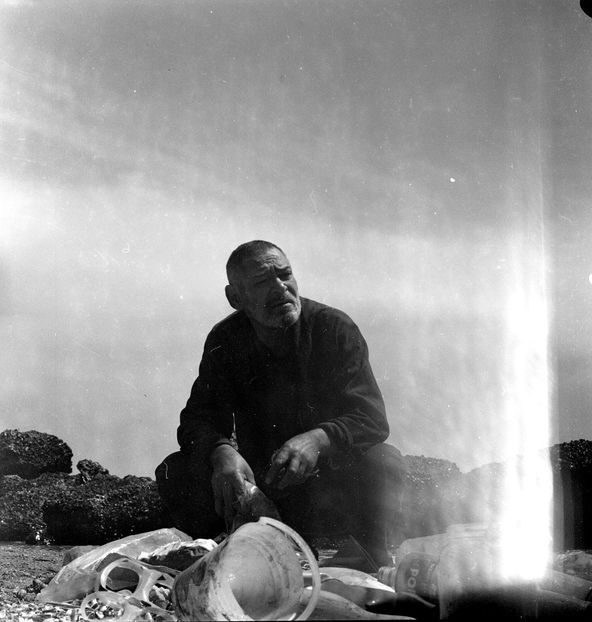 Faleze De Nisip - Faleze De Nisip 1983