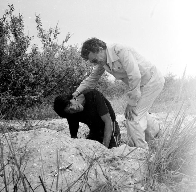 Faleze De Nisip - Faleze De Nisip 1983