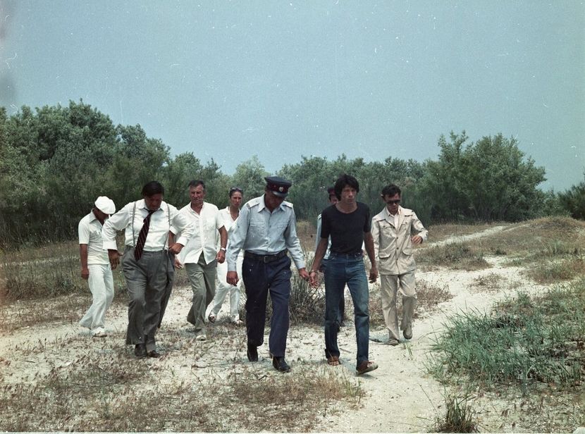 Faleze De Nisip - Faleze De Nisip 1983