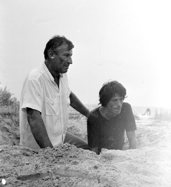 Faleze De Nisip - Faleze De Nisip 1983