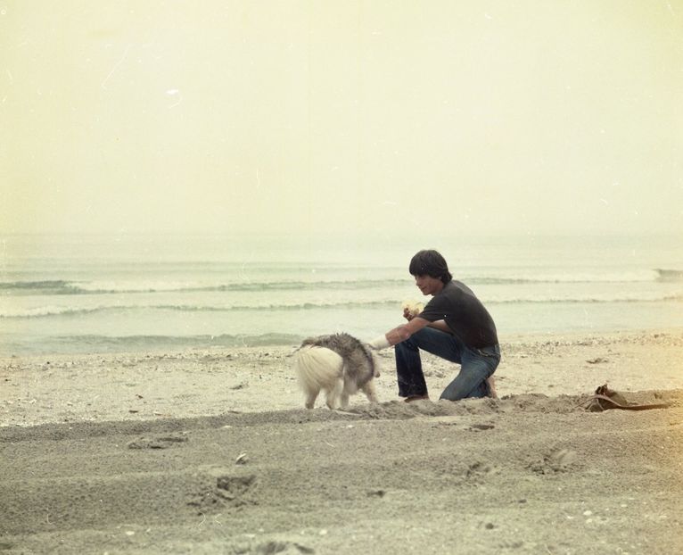 Faleze De Nisip - Faleze De Nisip 1983