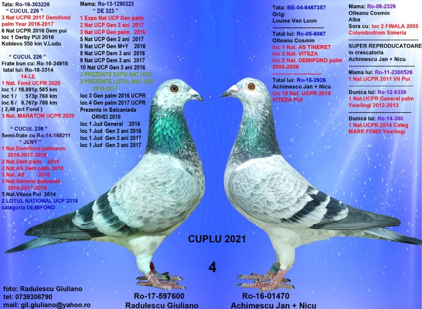 4 CUCU DIN 323 SI CUCA FITO - cupluri 2021