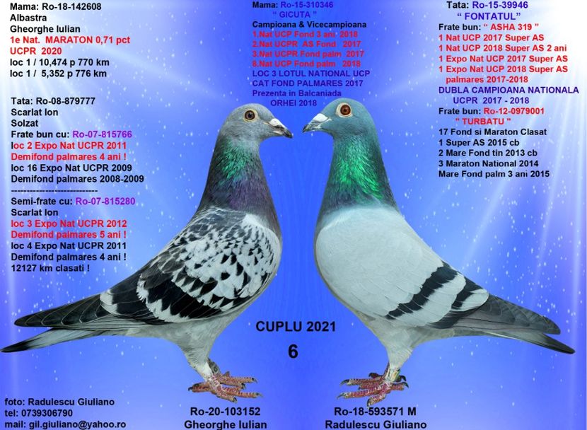 6 FIU GICUTA & GHIULEAUA - cupluri 2021